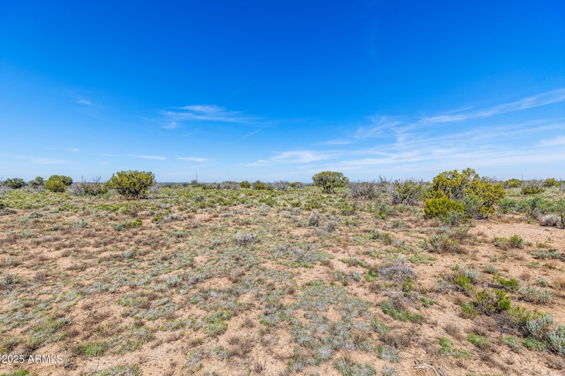 2684 W Critter Pass Williams-23