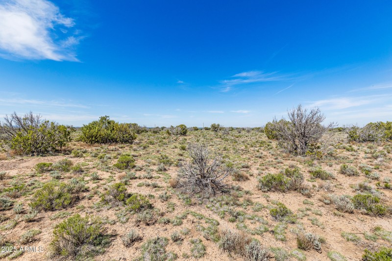 2684 W Critter Pass Williams-24