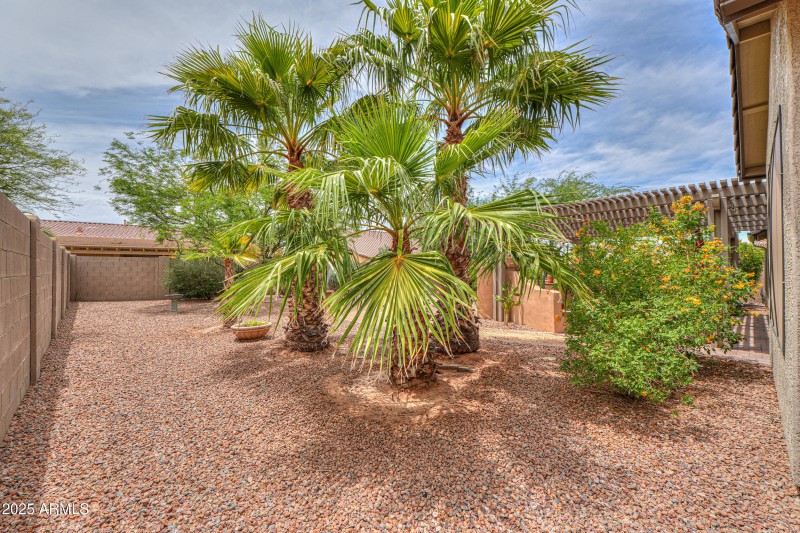 Private backyard