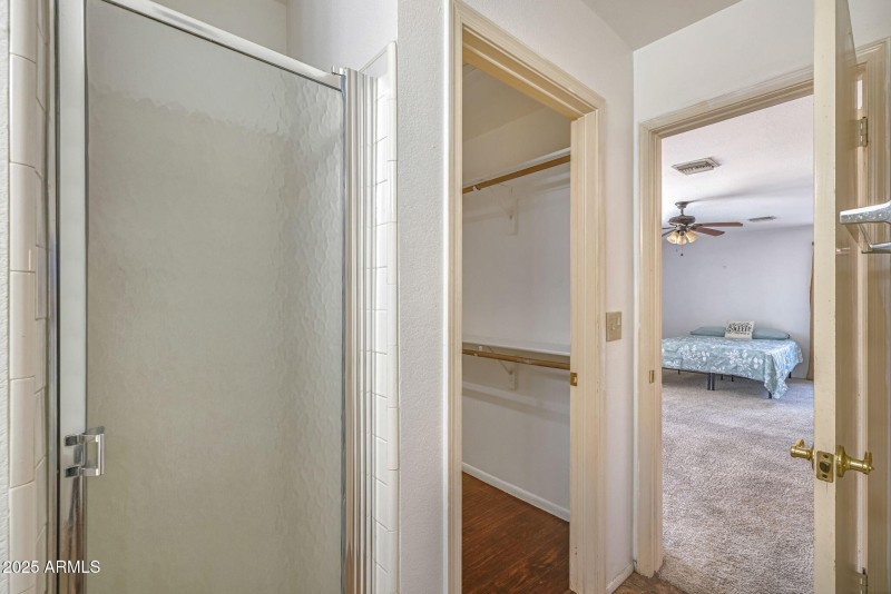 Walk in Primary Shower