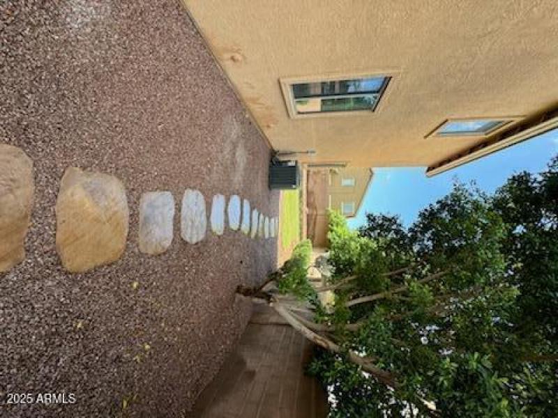 IMG_1859_1724373558994