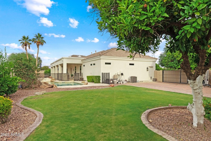 Grassy Area in Back Yard