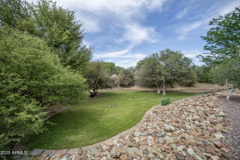 15 Backyard a