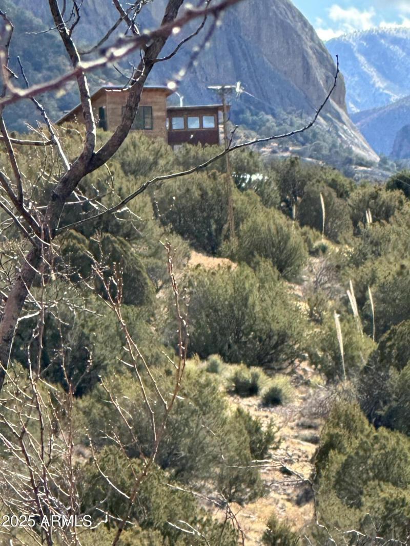 IMG_3358