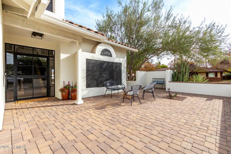 39 - Royal Palm 242