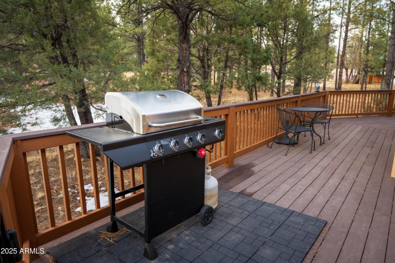 Trex Deck