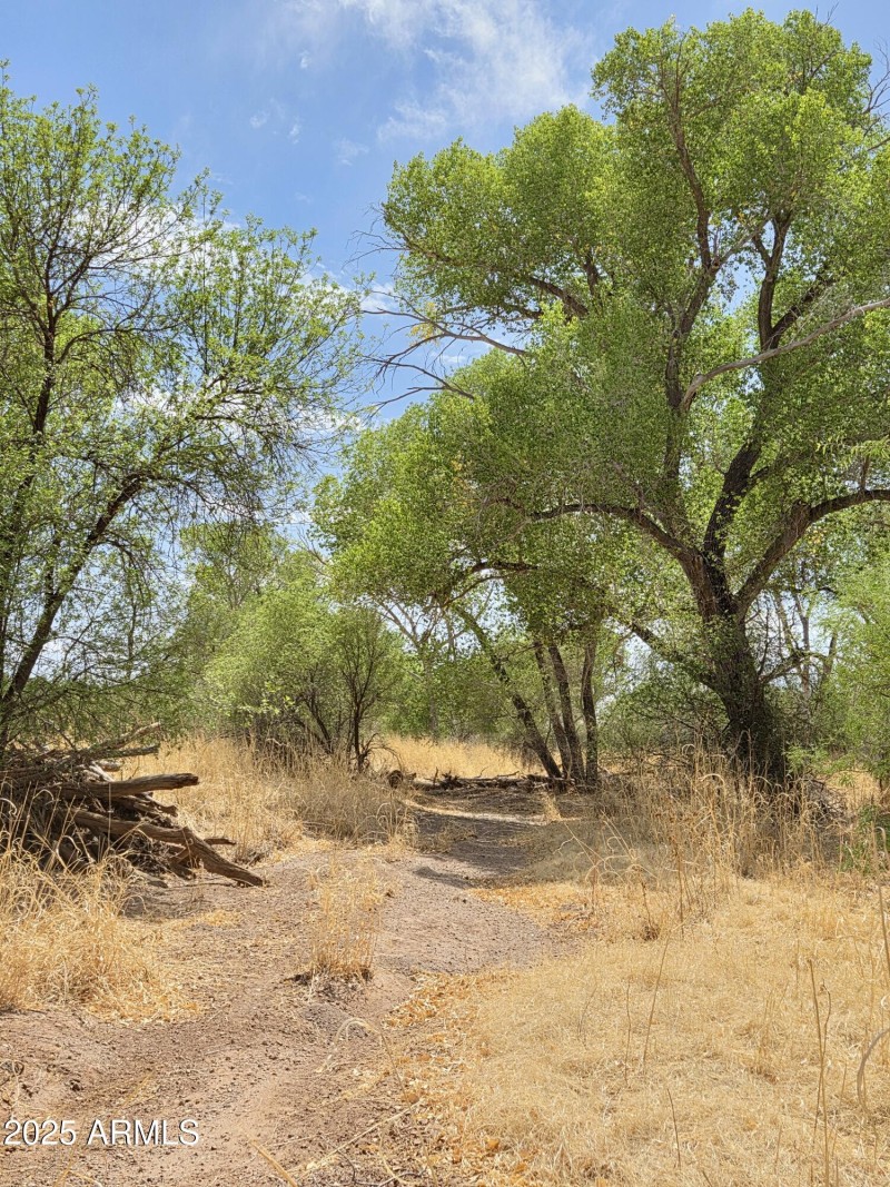 Bobocomari River