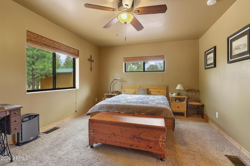 Downstairs bedroom