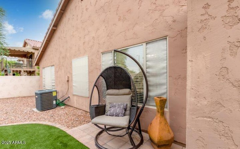 51st Backyard