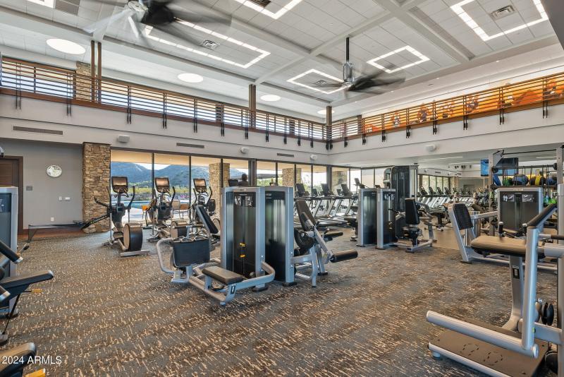 79_26568_W_Cat_Balue79_mls