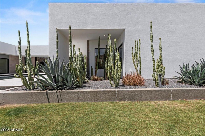 Cactus Garden