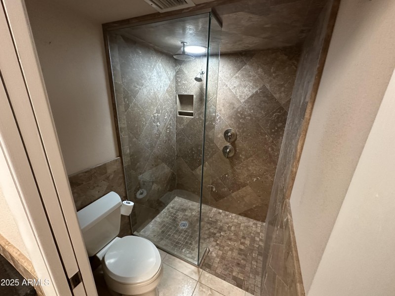 Primary Shower