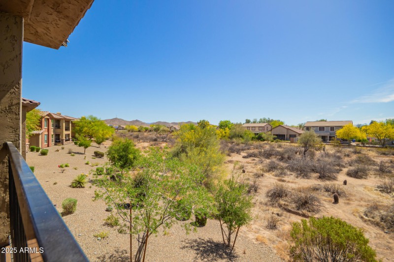 Sonoran Desert view for days!