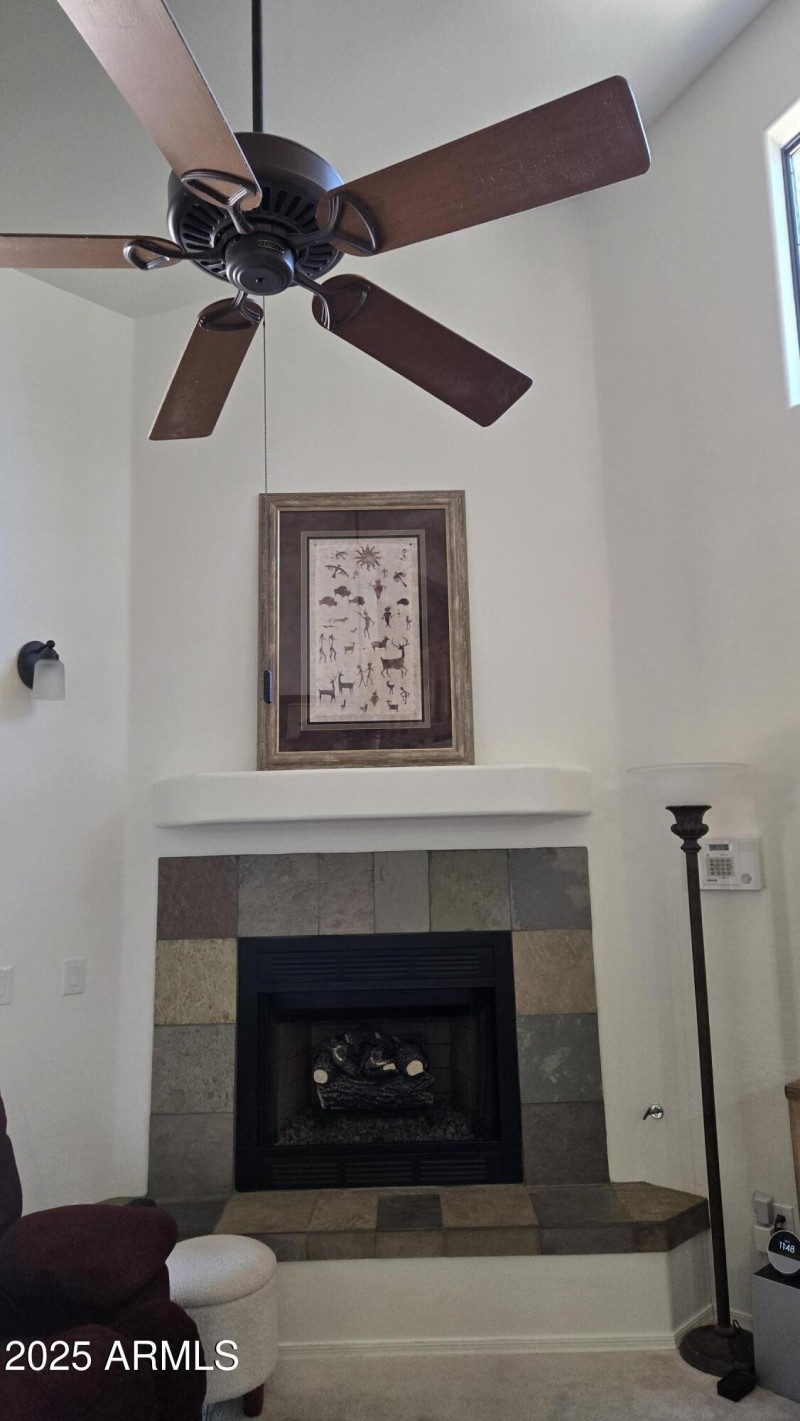 gas fireplace