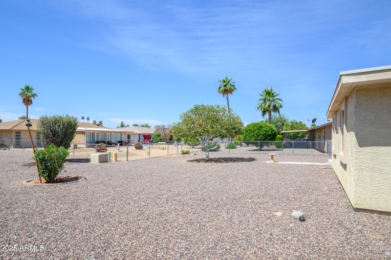 Back Yard