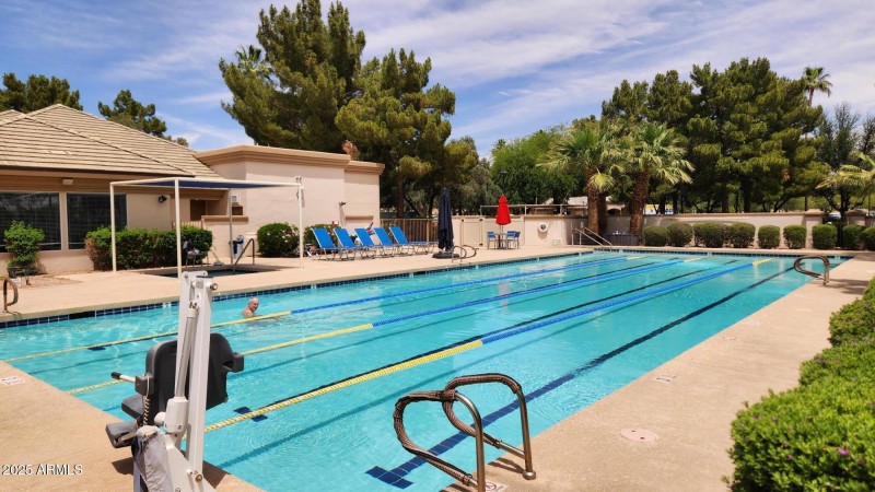 Lap Pool