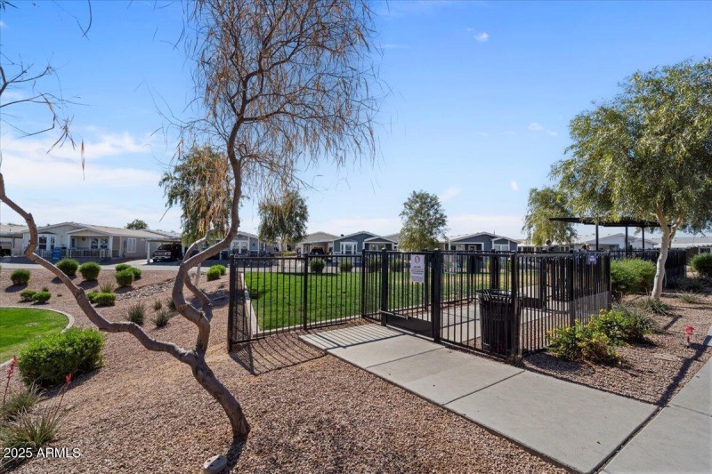 Dog Park adjacent to home