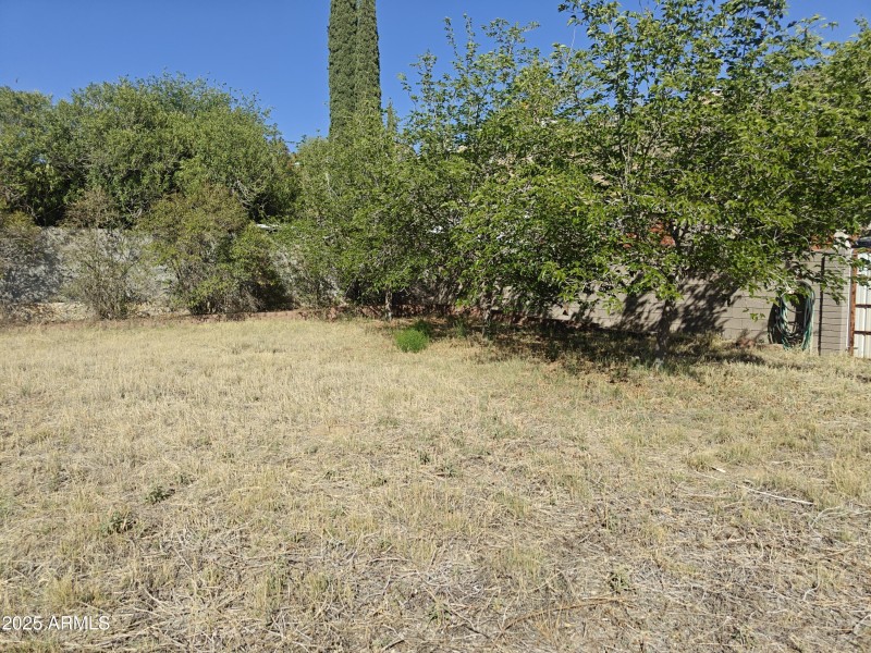 IMG20250519160913