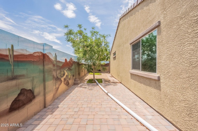 Backyard (south-facing)