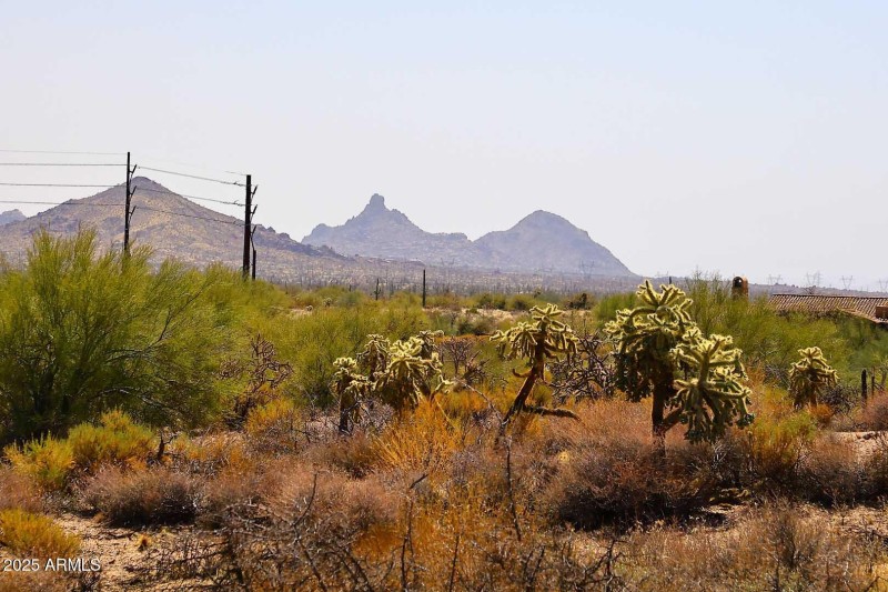 Pinnacle Peak View