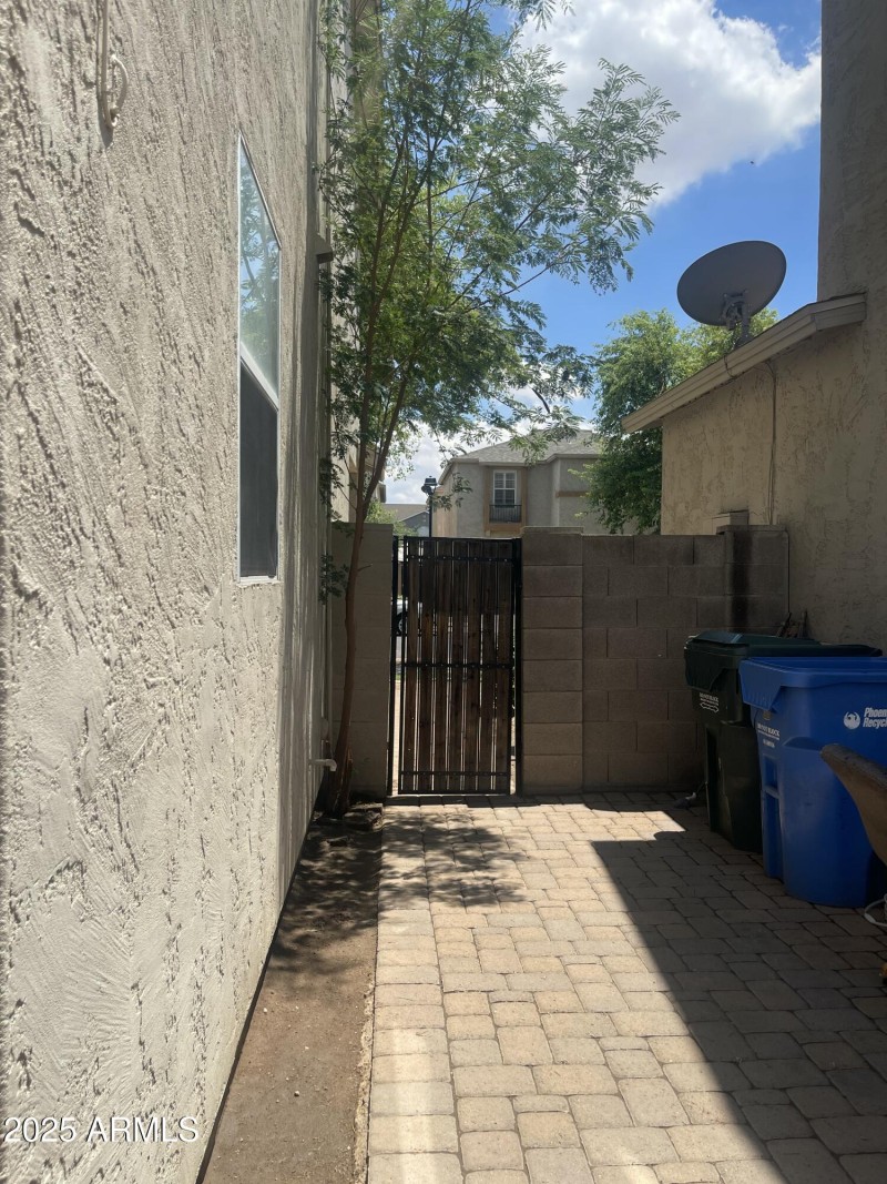 Backyard 4
