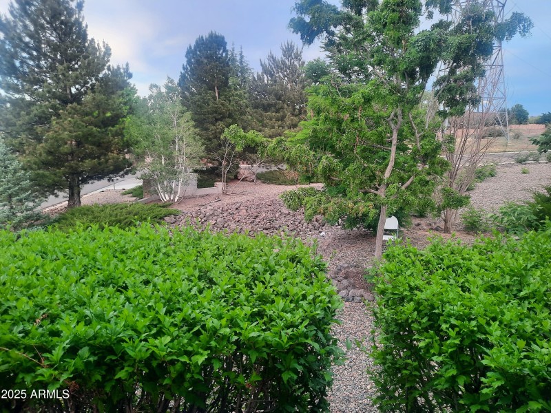 Rivas Side Yard