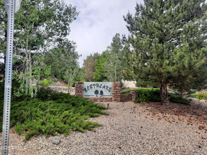 Rivas Yard