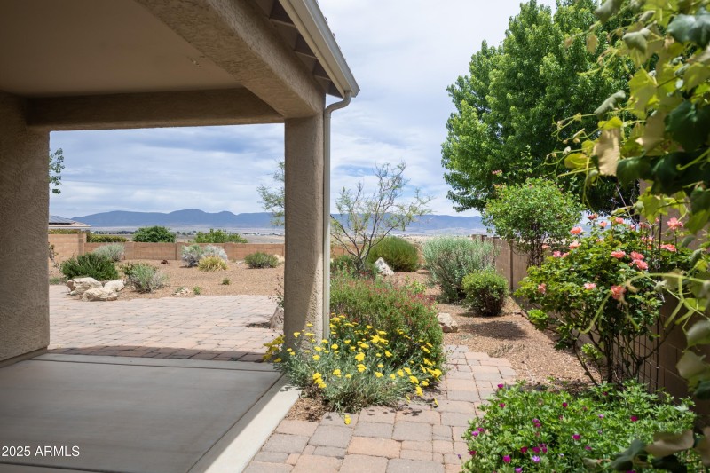 Back Patio View