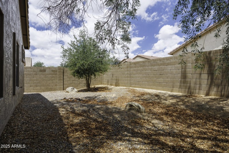 Back Yard Center