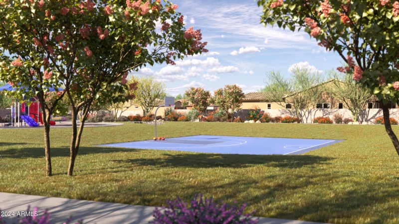 Basketball Court