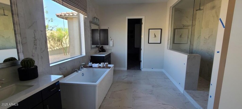 Owner's bathroom