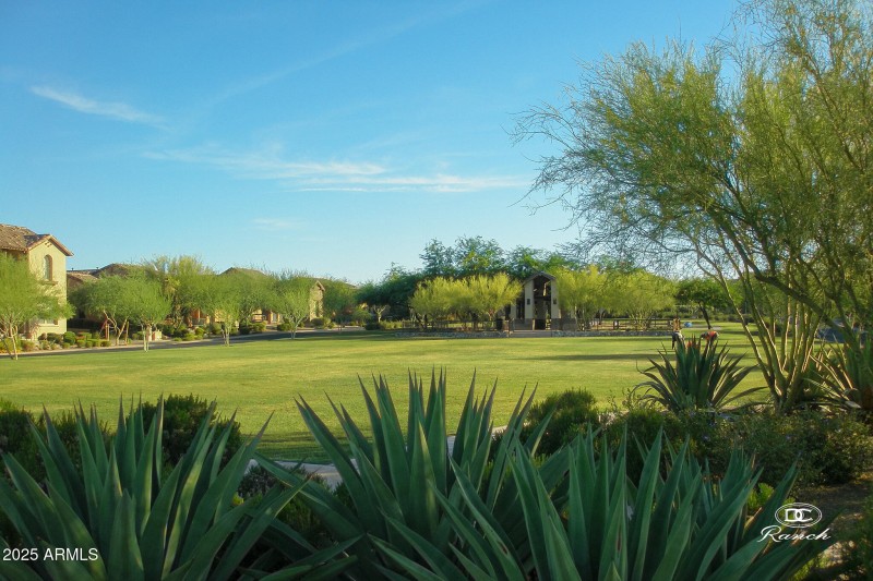Neighborhood Park 4