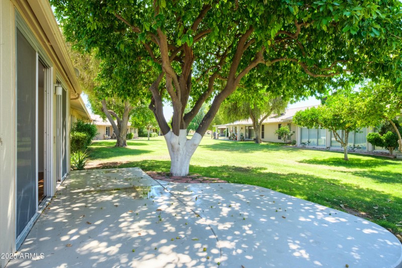 Patio