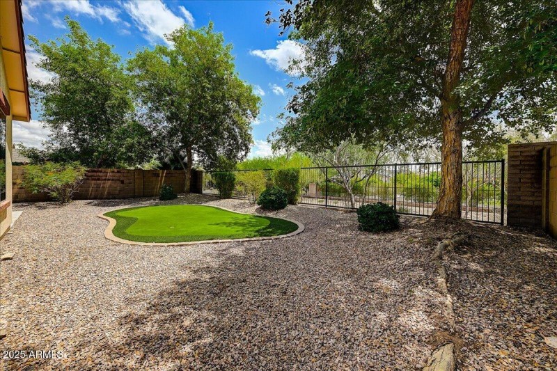 32-Backyard II