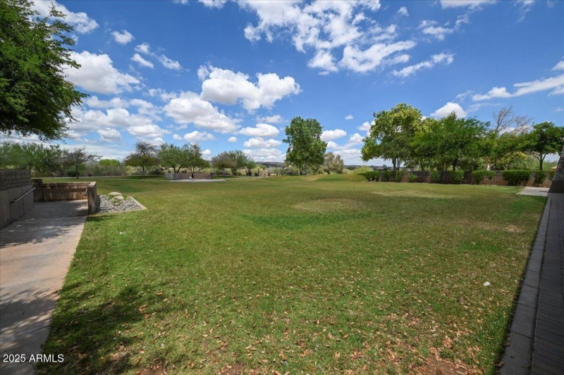 41-Park