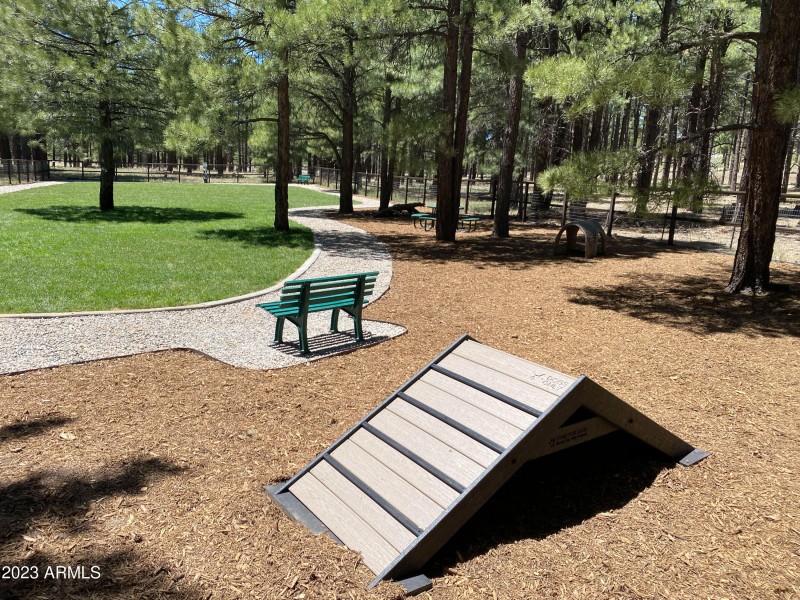 Dog Park