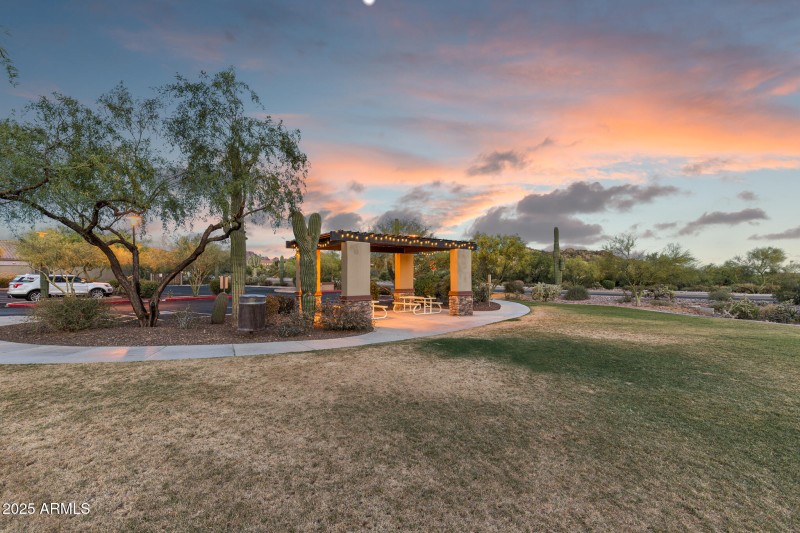 08_Pet Friendly Park_Superstition Foothi
