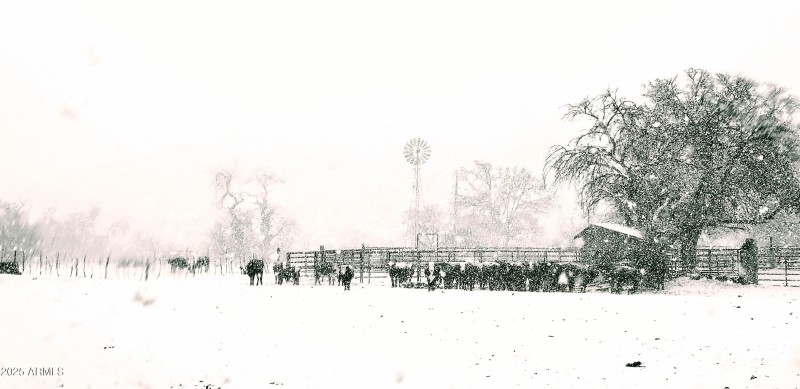 DUd snow