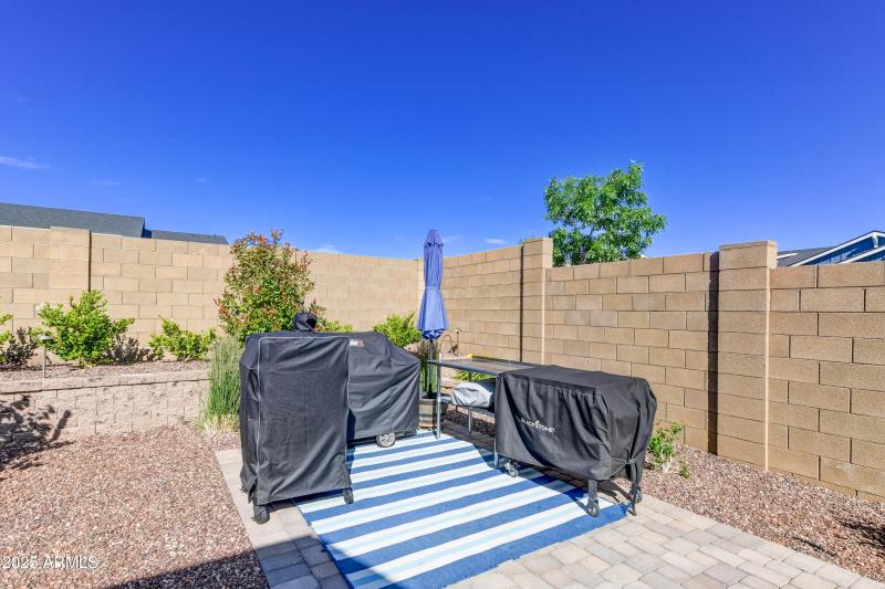 Back Yard 1