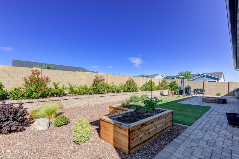Back Yard 3