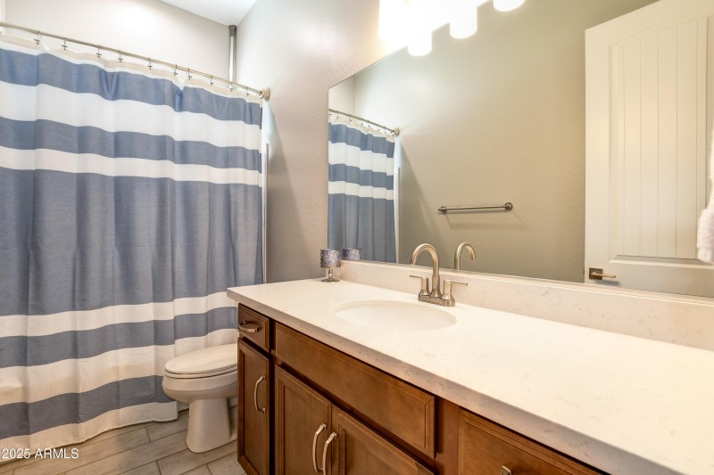 Guest Bathroom 1