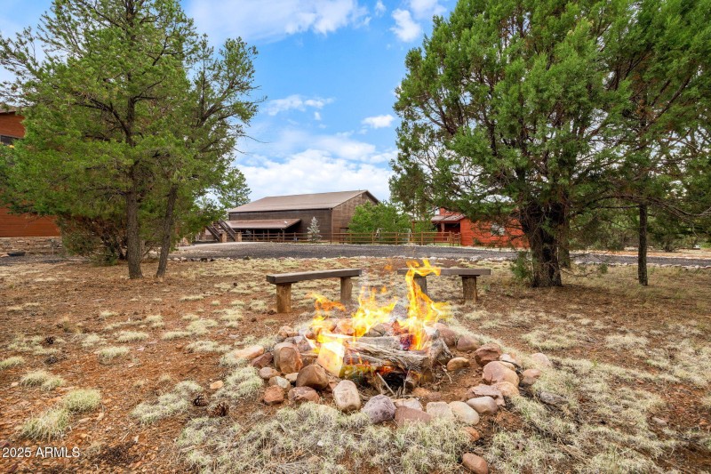 2271LIndberghRd-Overgaard-AZ-5