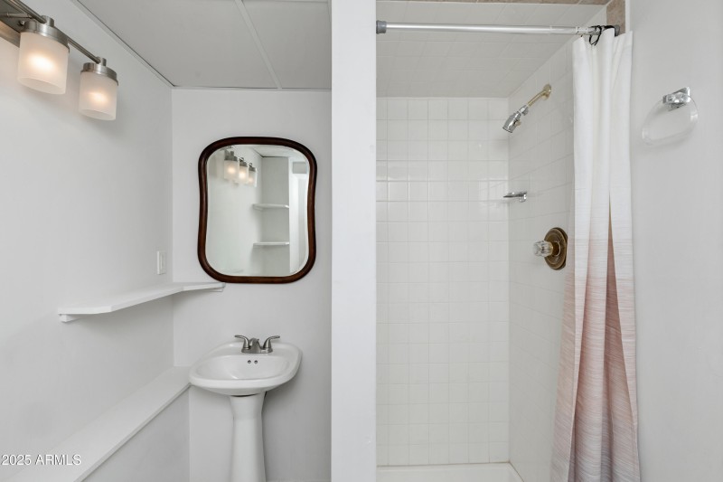 Lower Level Bathroom