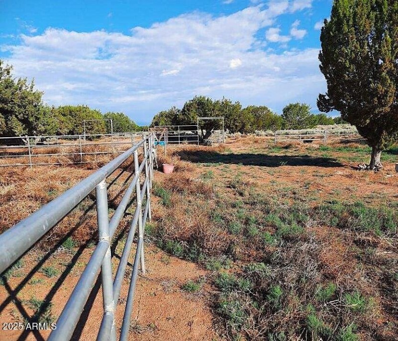 RSR300.horse fence
