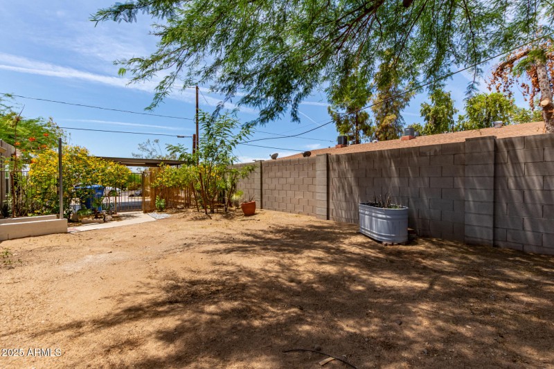 Backyard