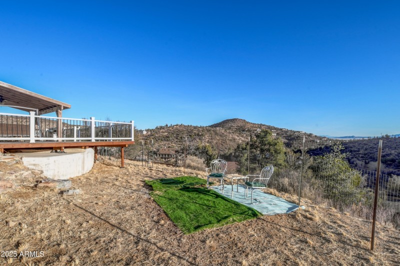 Back Yard 1