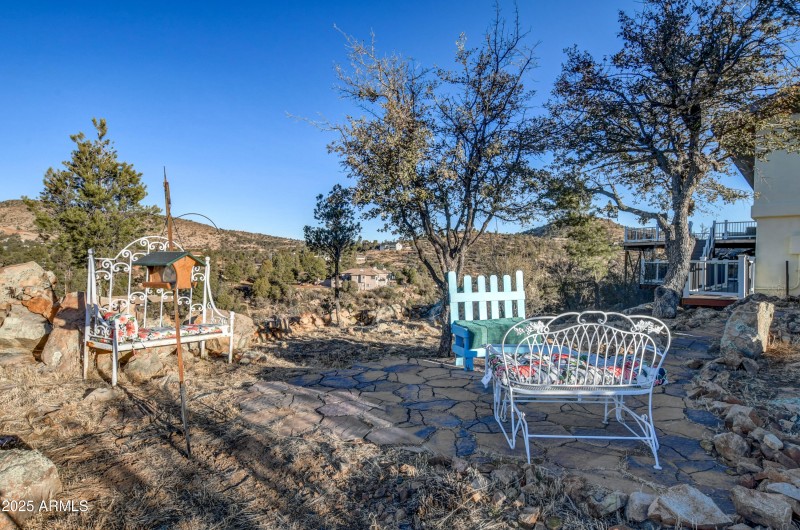 Back Yard 3