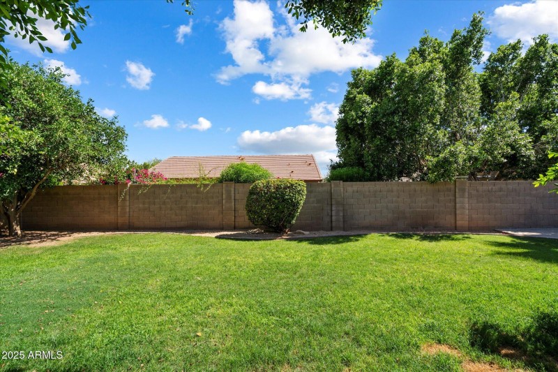 Backyard 2