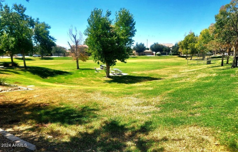 Green belt ammenity