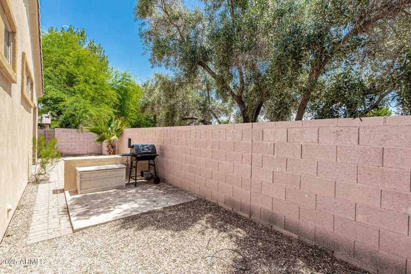 Side Yard